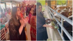 Parineeti Chopra: कृष्ण भक्ति में डूबीं परिणीति चोपड़ा, लंदन के ISKCON मंदिर में भजन गाती और गायों को चारा खिलाती नजर आईं